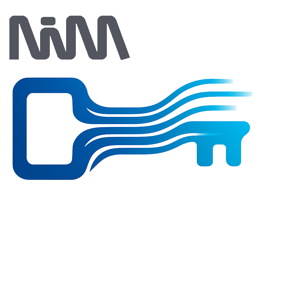 New Internet Media (NIM)